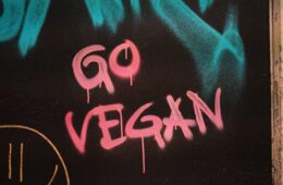 Go Vegan mit Grafiti